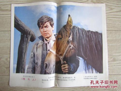 鳴門教育大学硕士学位证